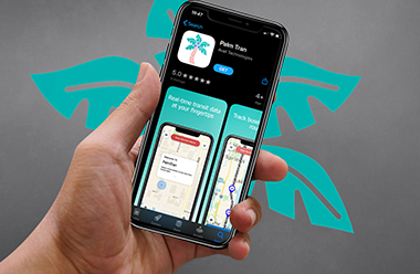 Home button for Palm Tran app