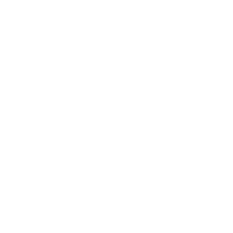 Palm Tran Bus Advertising icon