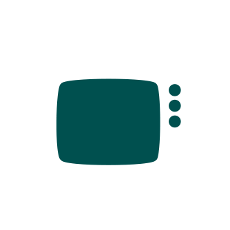 Palm Tran TV icon